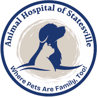 staff profile