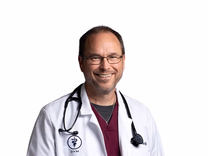 staff profile