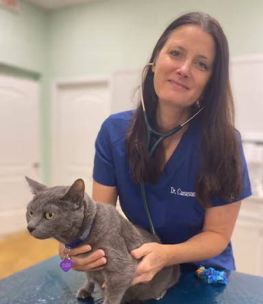 staff profile