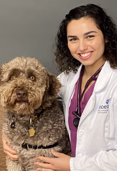 staff profile