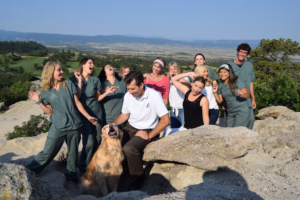 staff profile