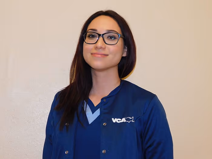 staff profile
