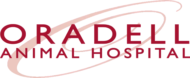 staff profile