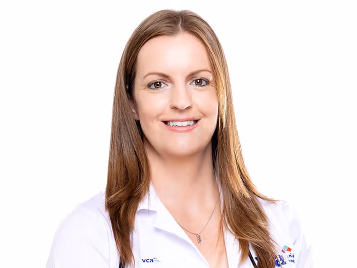 staff profile