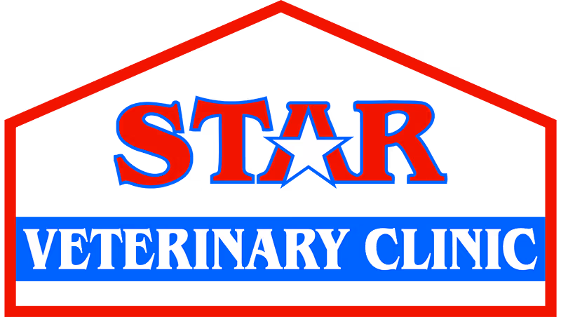 staff profile