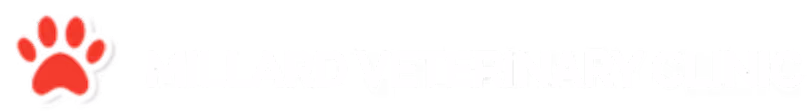 staff profile