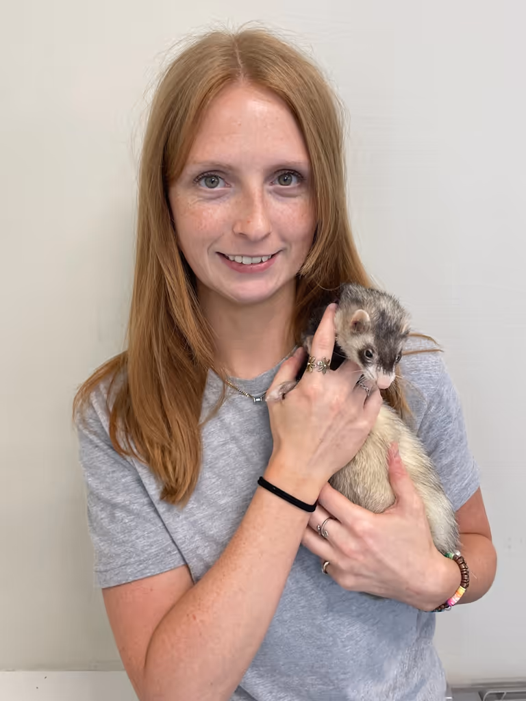 staff profile