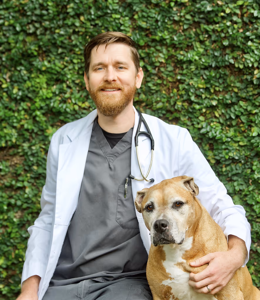 staff profile