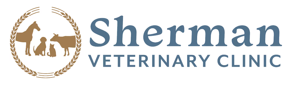 staff profile