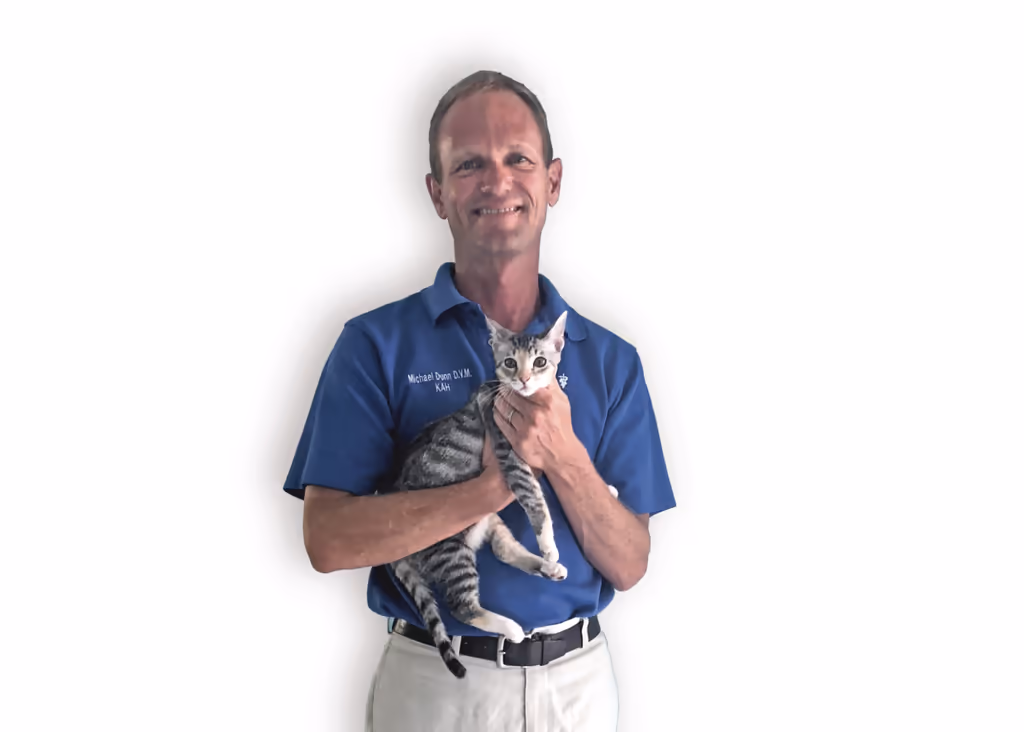 staff profile
