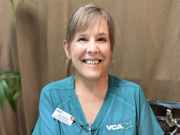 staff profile