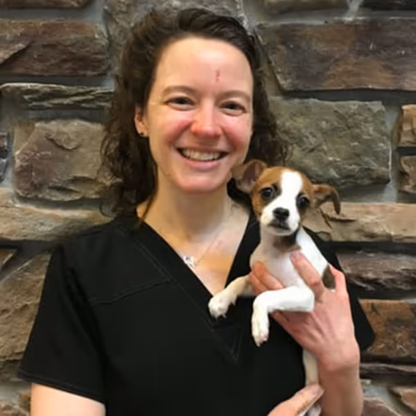 staff profile