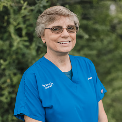 staff profile