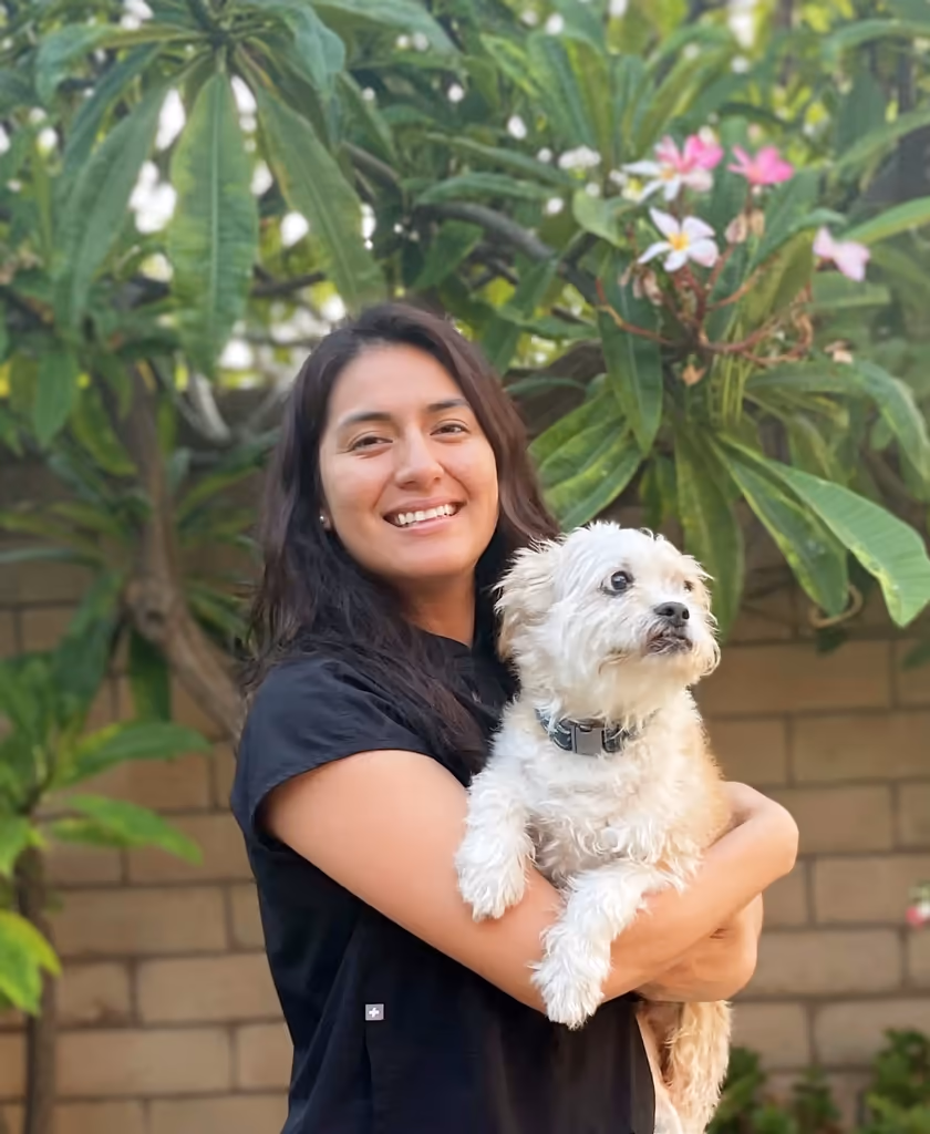 staff profile