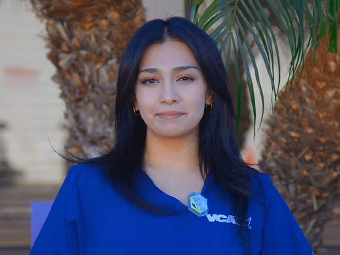 staff profile