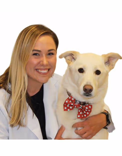 staff profile