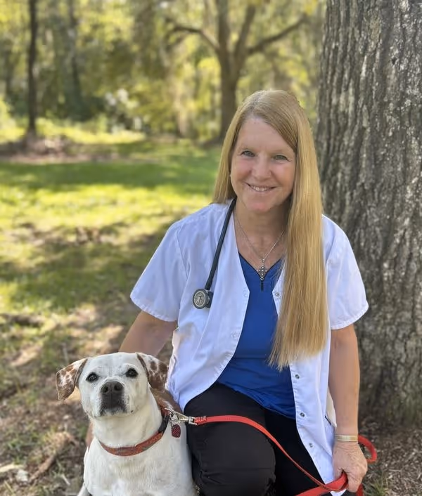 staff profile