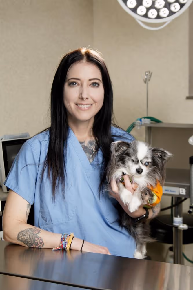 staff profile