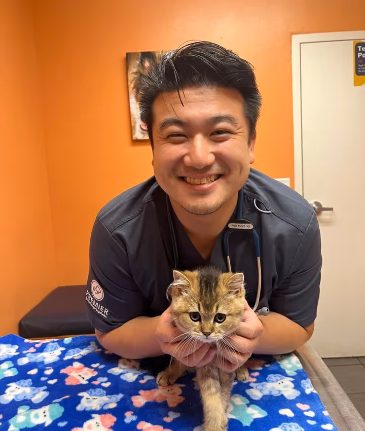 staff profile