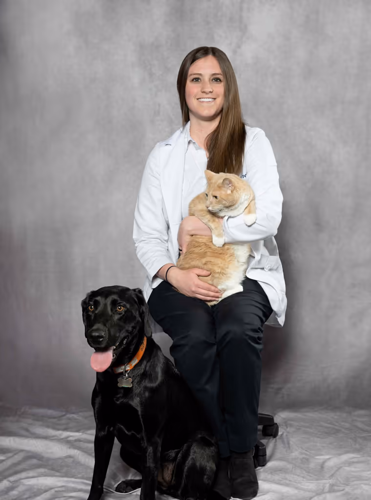 staff profile