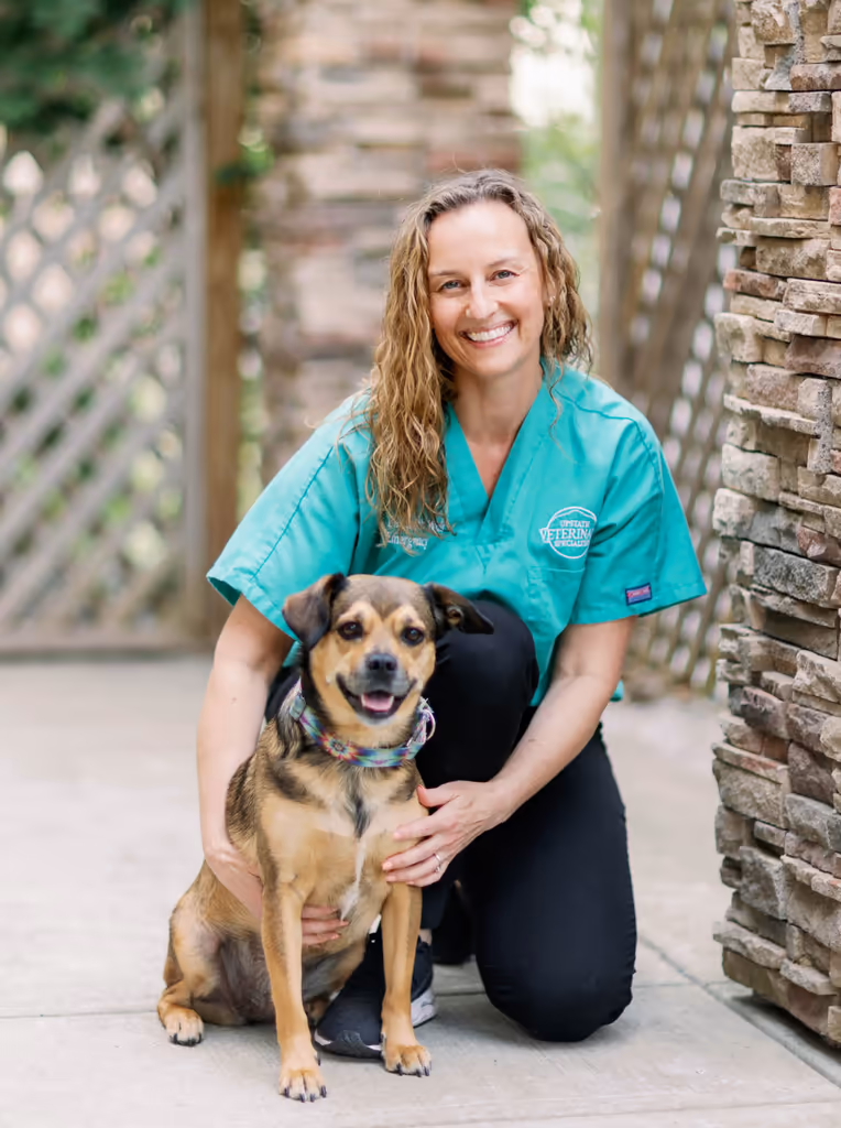 staff profile