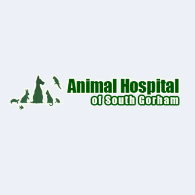 staff profile