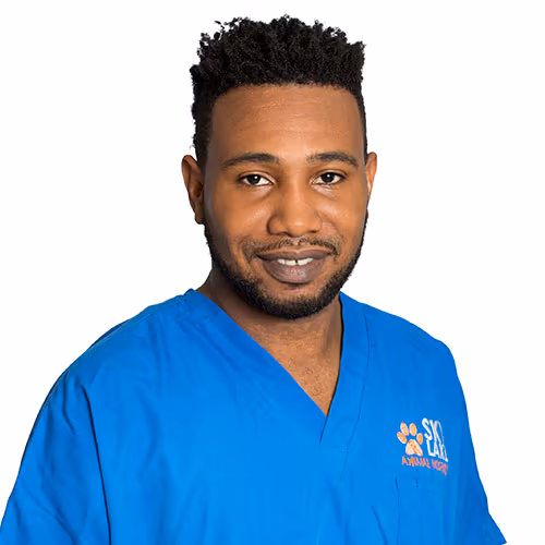 staff profile