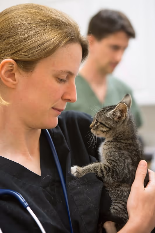 staff profile