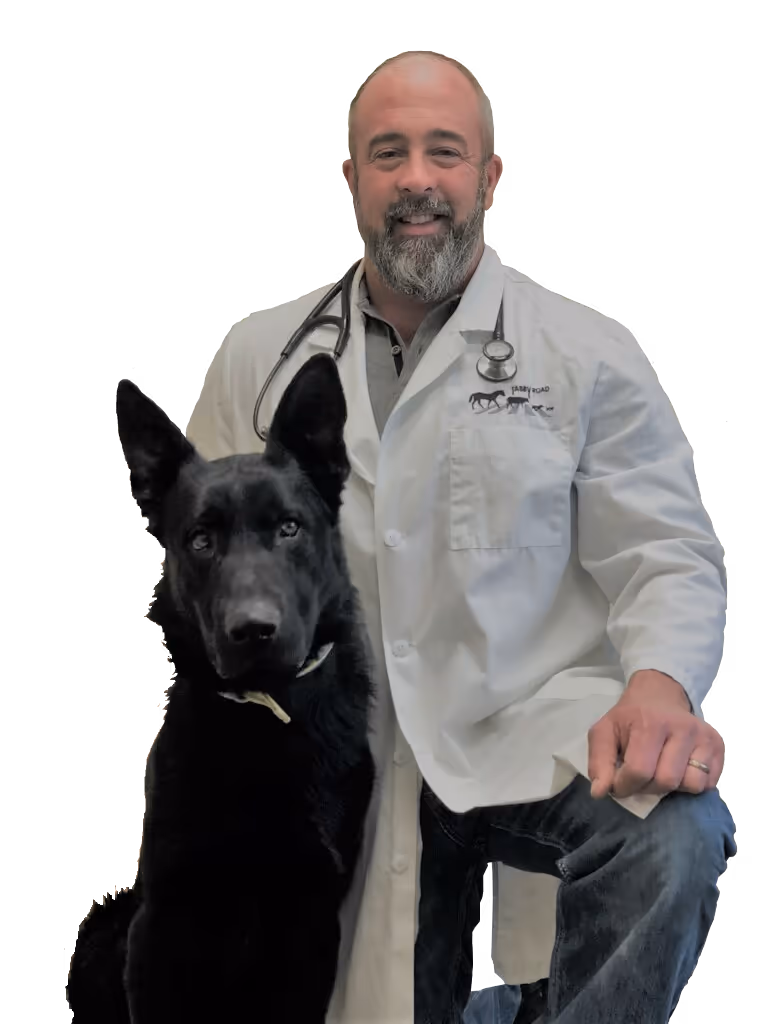 staff profile
