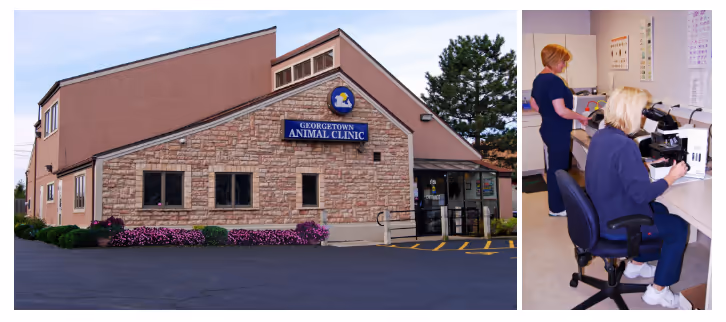 facility profile image