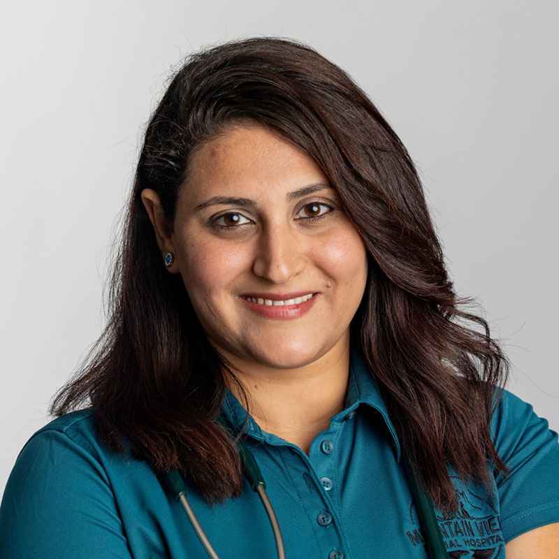 staff profile