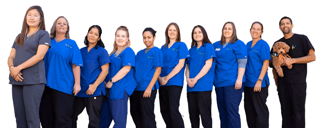 staff profile