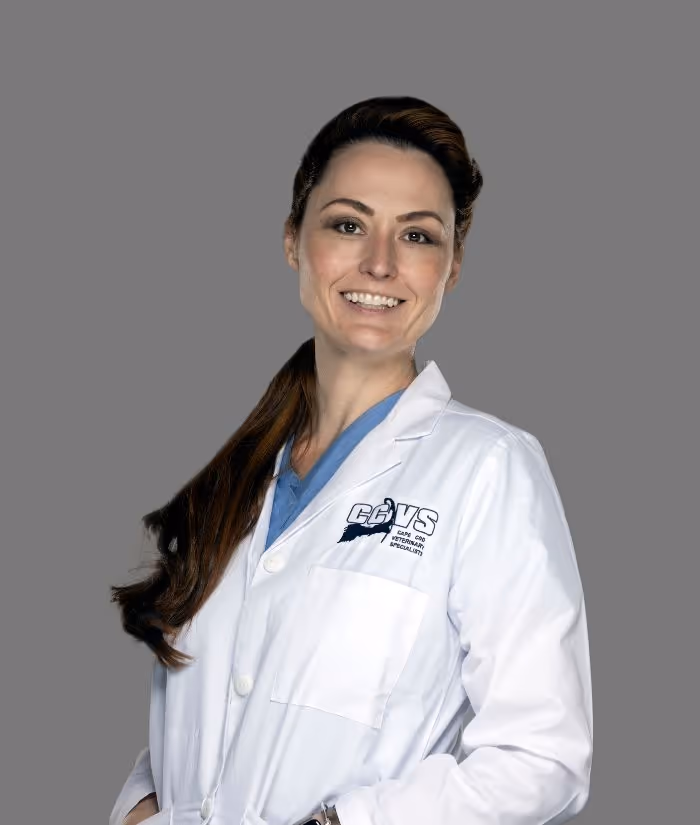 staff profile