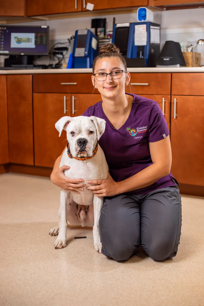 staff profile