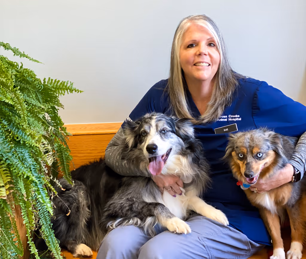 staff profile