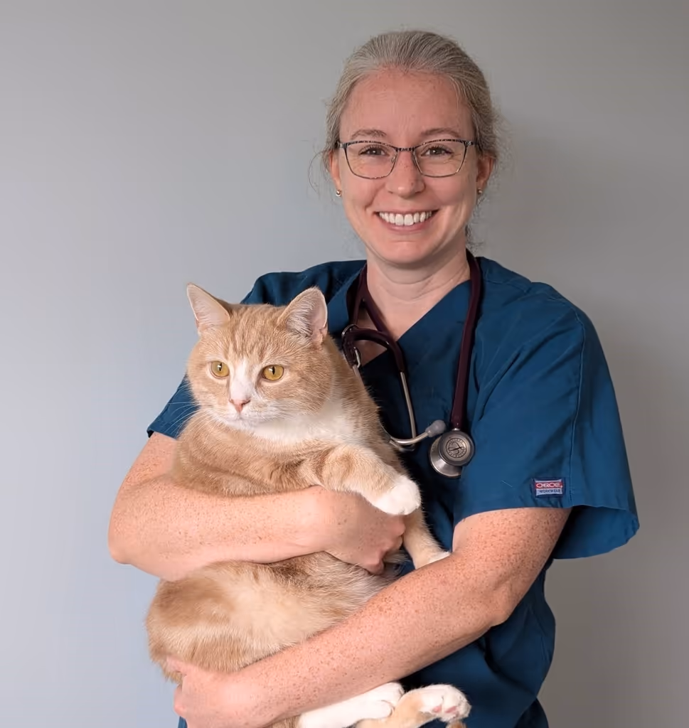 staff profile