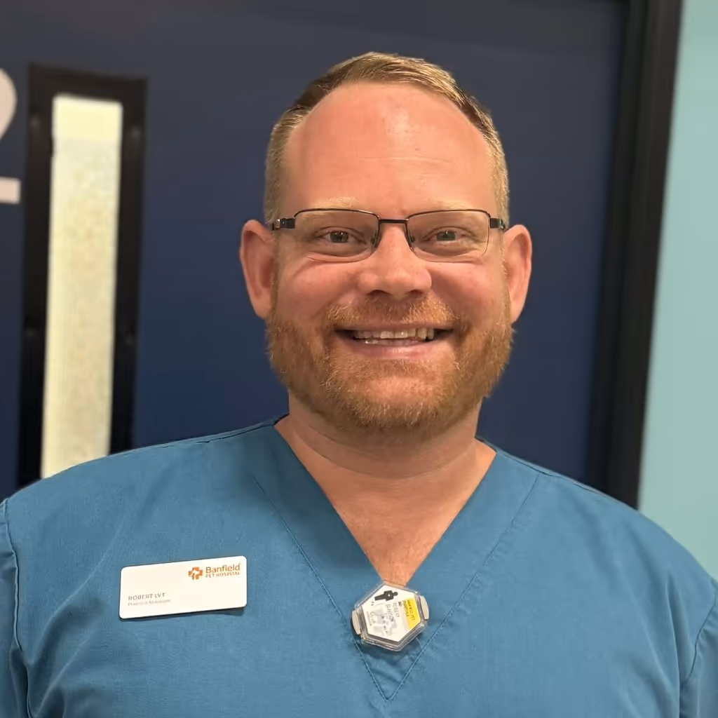 staff profile