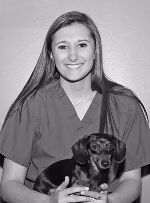 staff profile