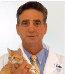 staff profile