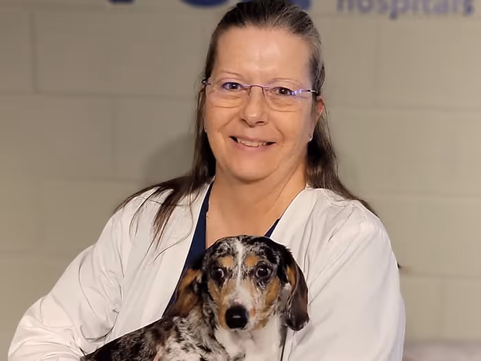 staff profile