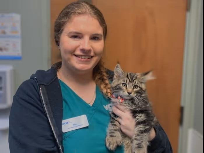 staff profile
