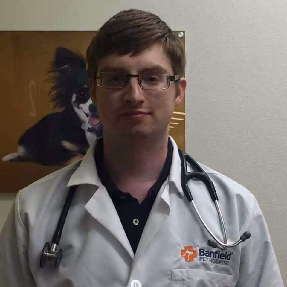 staff profile