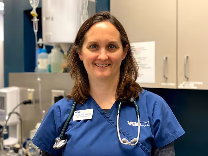 staff profile