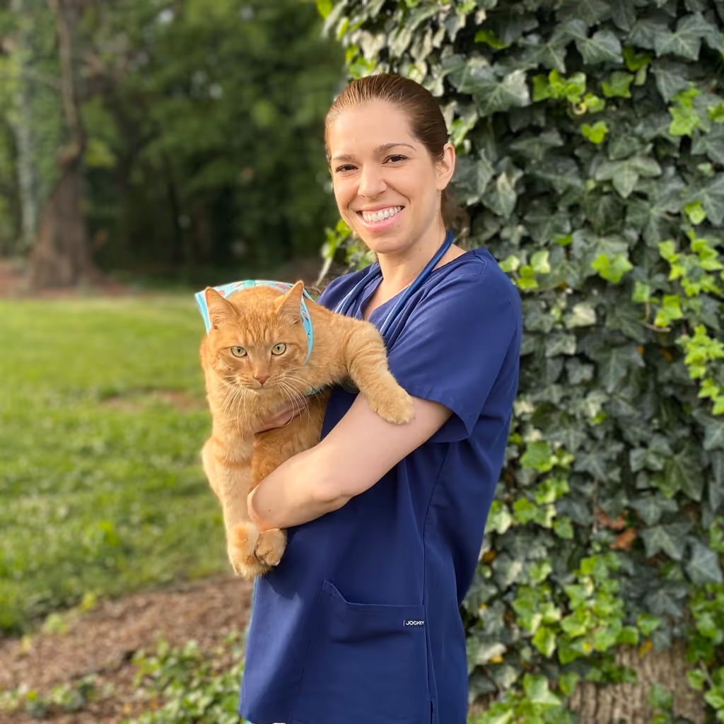 staff profile