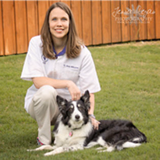 staff profile