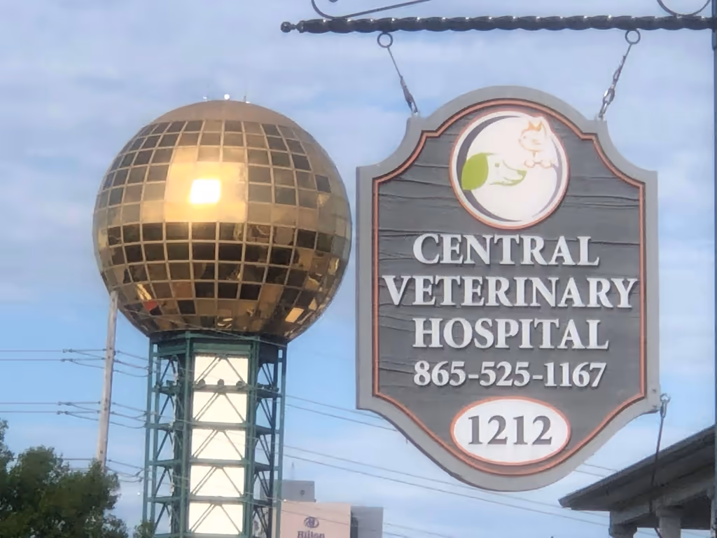 facility profile image