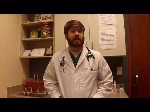 staff profile