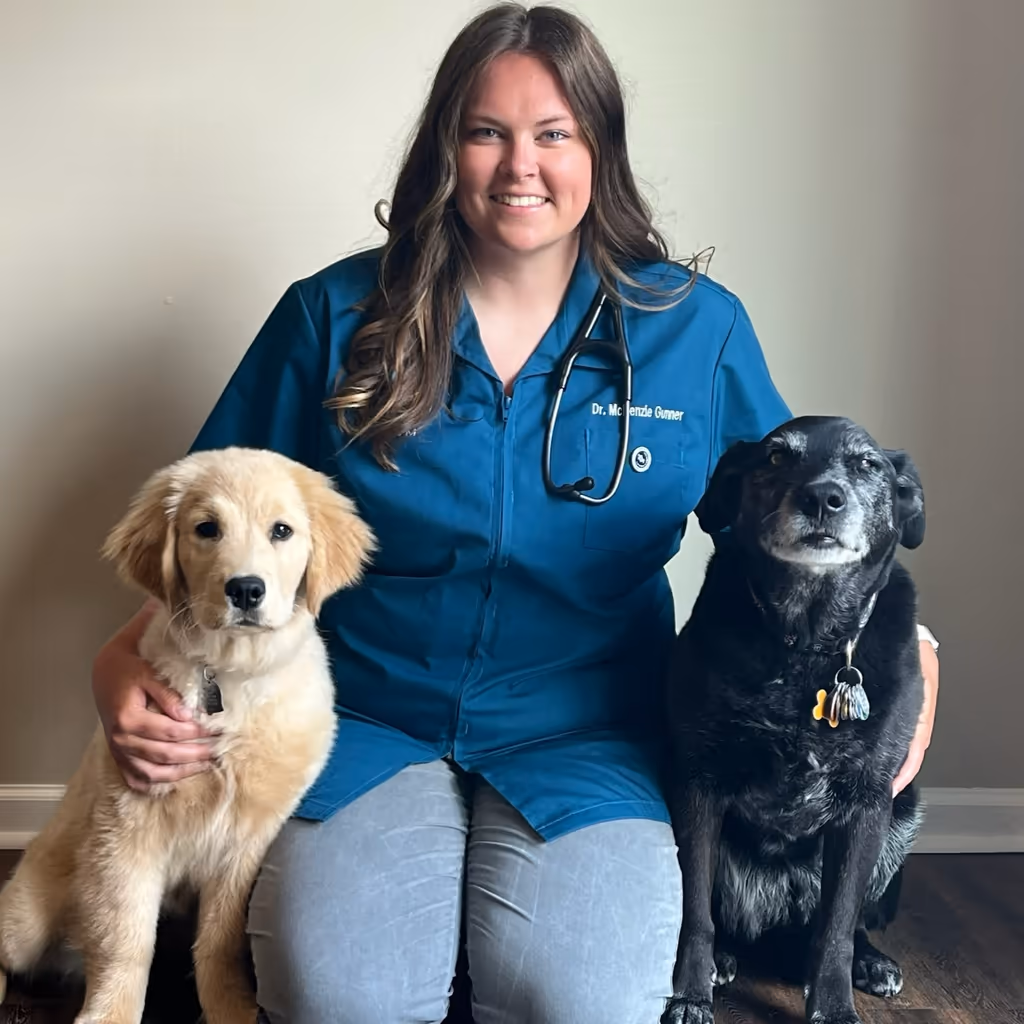 staff profile
