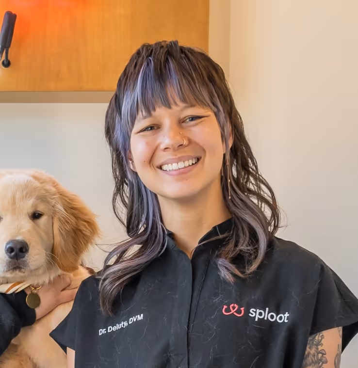 staff profile