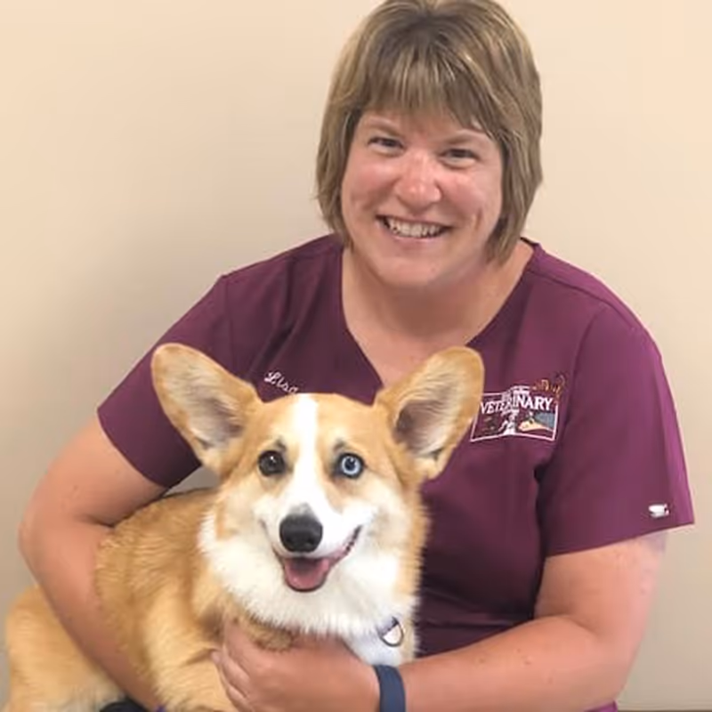 staff profile
